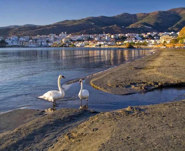 Πλατανακι 1 Family Friendly Villa Ándros Buitenkant foto